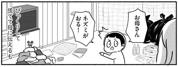 ゴミや服の山があちこち、腐った卵やネズミも！汚部屋が日常だったわが家（4）