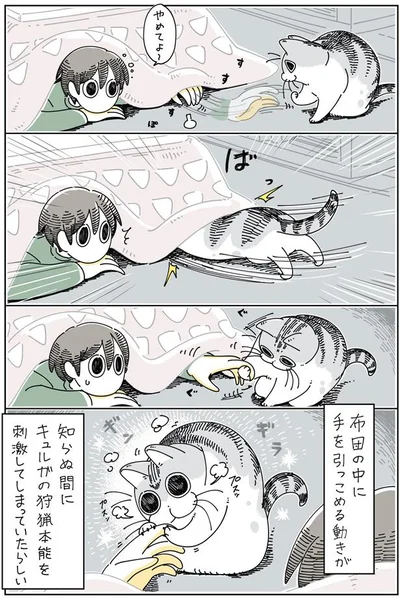 狩猟本能を刺激してしまっていたらしい