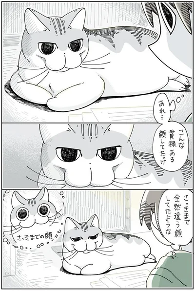 さっきまで全然違う顔してたような