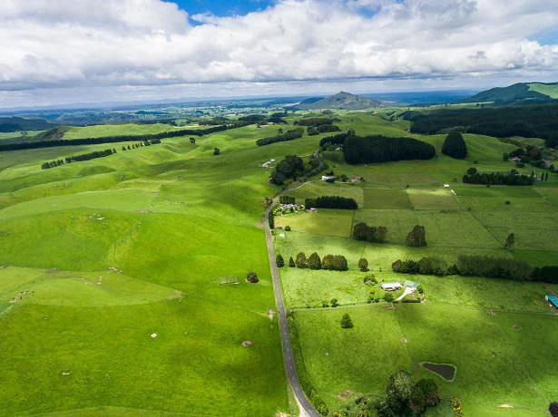 広大なニュージーランドの風景