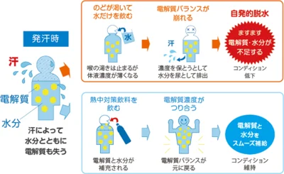 汗によって水分とともに電解質も失う