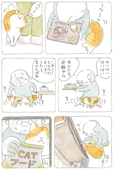 そんなにまいまいしたら歩けんがね