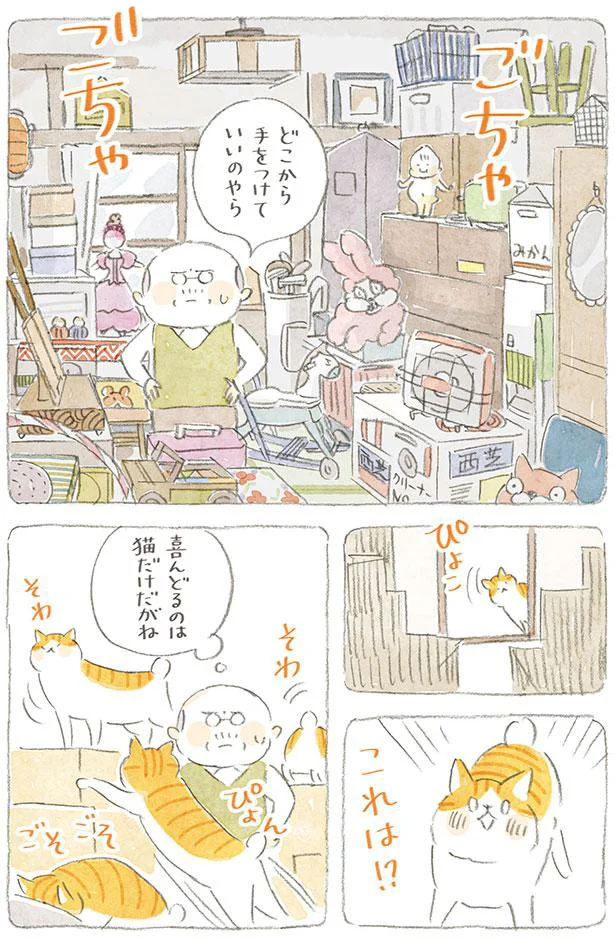 喜んどるのは猫だけだがね