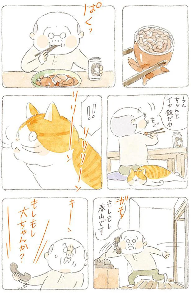 うん　ちゃんとイカ飯だわ