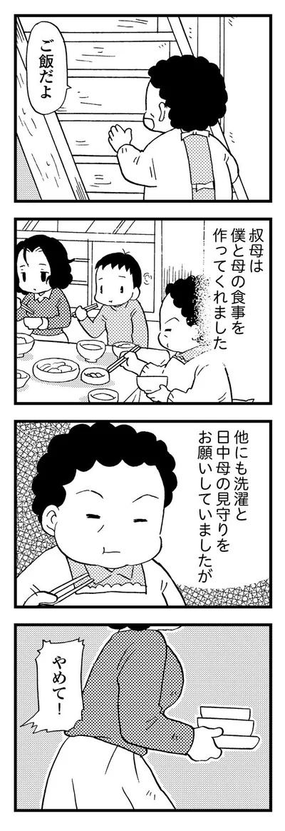 叔母は母と僕の食事を作ってくれた