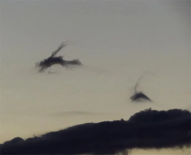 「あの雲、鳥に似てる！」…こんな「雲が動物に見える現象」には名前がある!?／すごすぎる天気の図鑑（1）