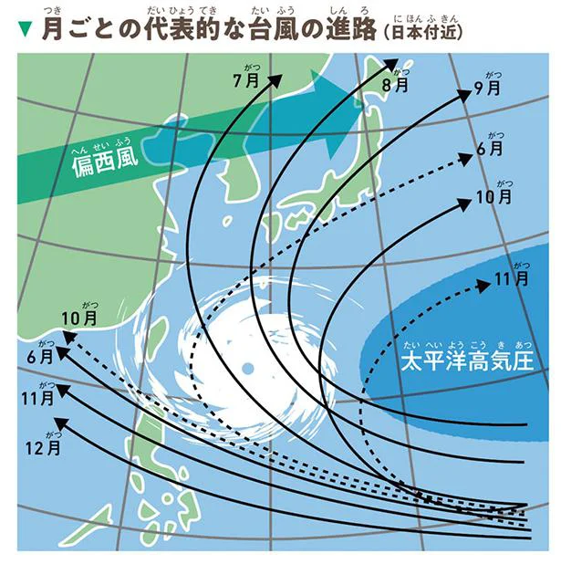 月ごとの代表的な台風の進路