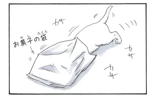 何してるんだろう? お菓子の袋に頭を突っ込み…