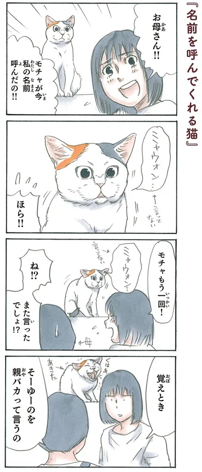 名前を呼んでくれる猫