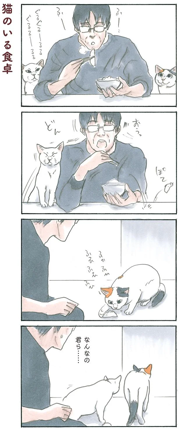 猫のいる食卓