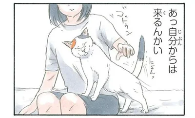 自分からは来るんかい