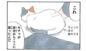 拾い猫のモチャ5 レタスクラブ 拾い猫のモチャ5 レタスクラブ