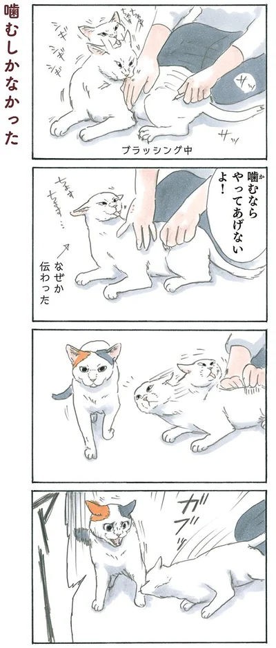 噛むしかなかった