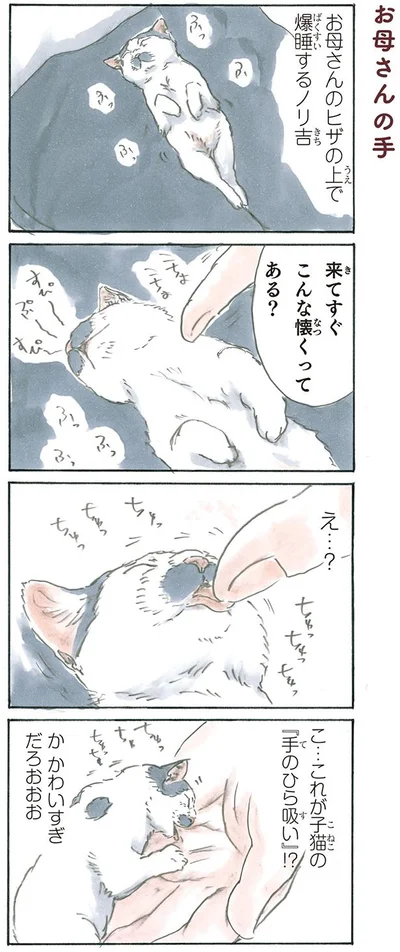 お母さんの手