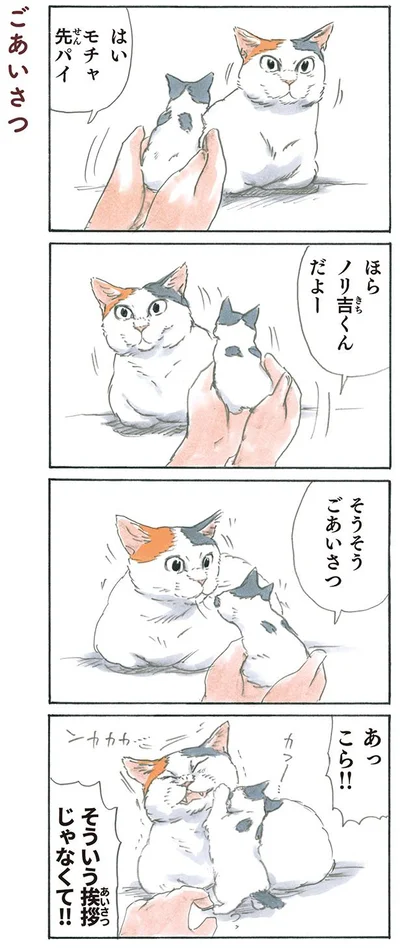 ごあいさつ