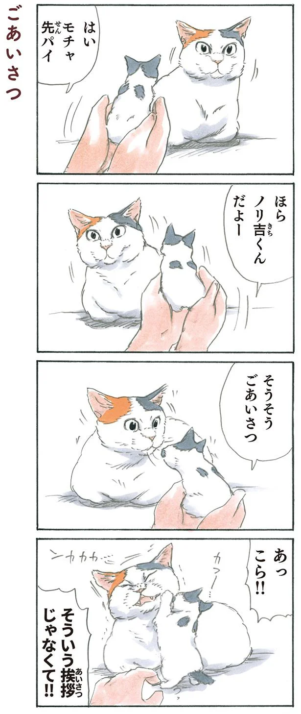 ごあいさつ