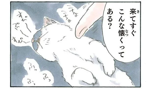来てすぐこんな懐くってある?