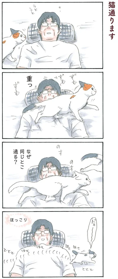 猫通ります