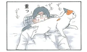 拾い猫のモチャ5 レタスクラブ