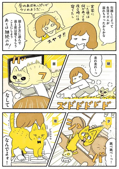 生活リズムが崩れちゃったからかな