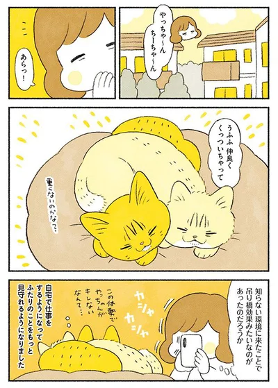 仲良くくっついちゃって