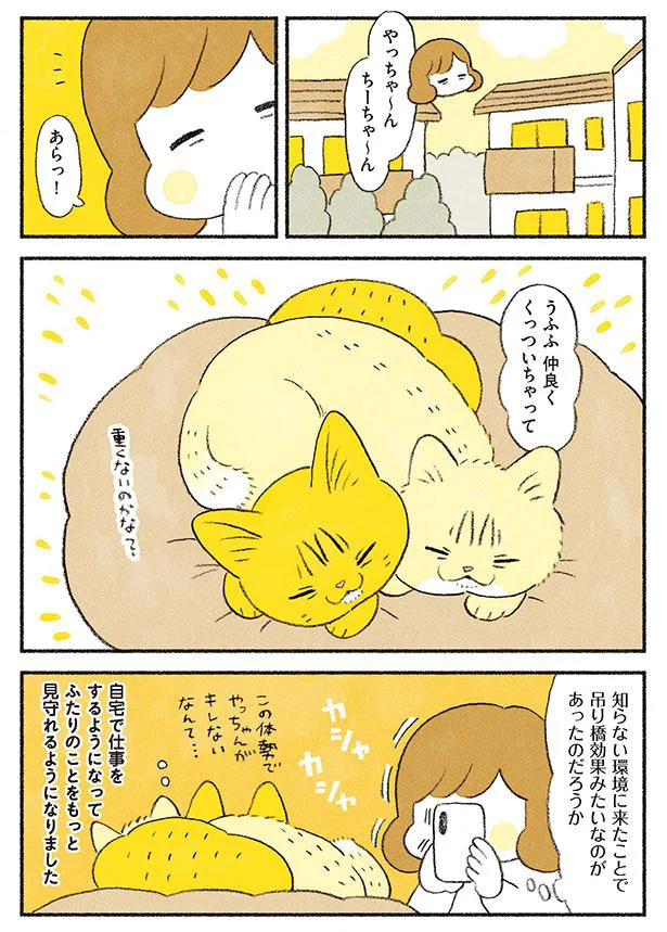 仲良くくっついちゃって