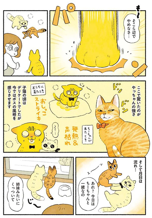 ここで驚いたのがやっちゃんの強さ