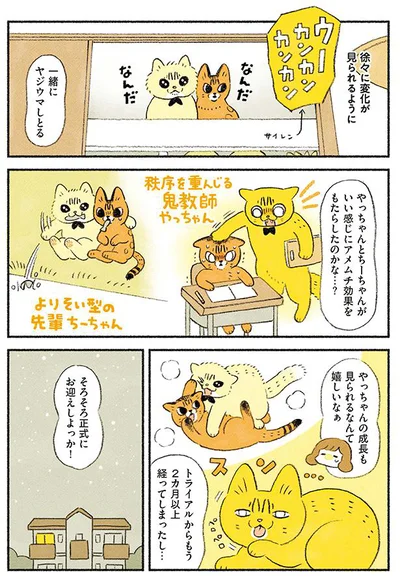 そろそろ正式にお迎えしよっか！