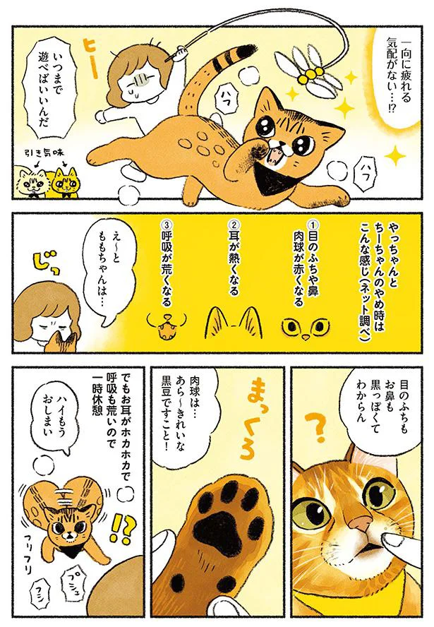 ハイもうおしまい