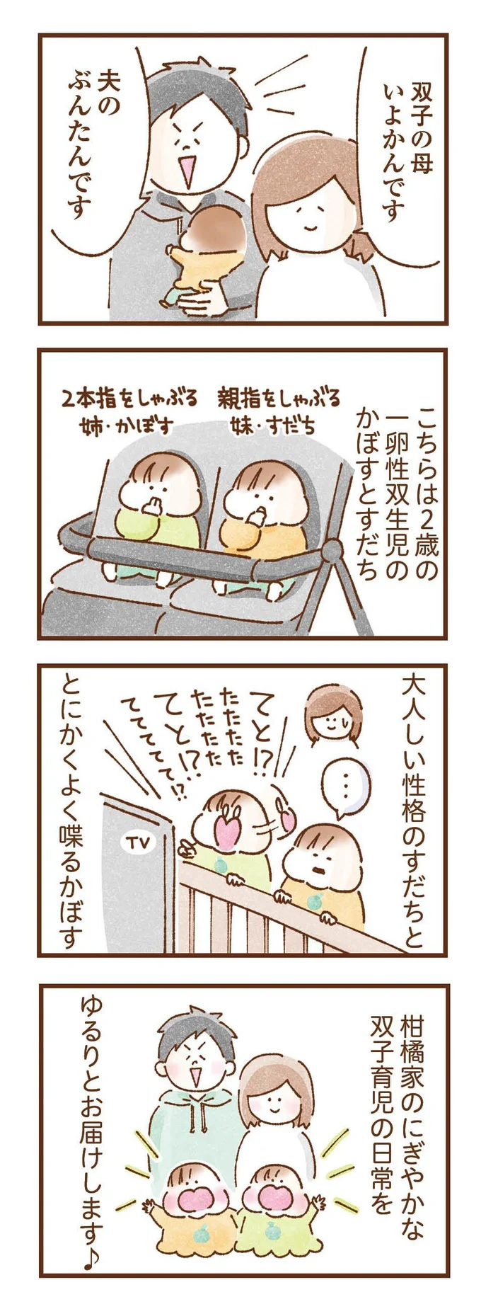 双子育児のにぎやかな日常