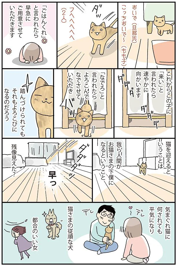 気まぐれ猫に何されても平気になり