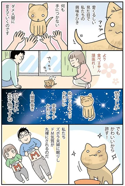 かわいいから許す！