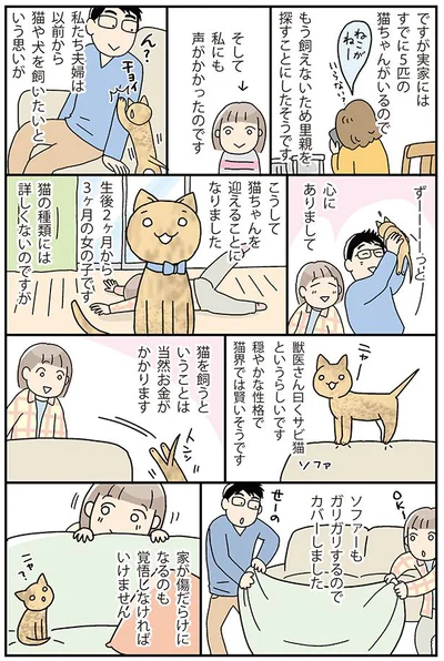 こうして猫ちゃんを迎えることになりました