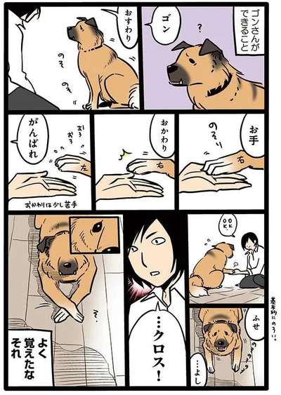 タユムさんのコミックエッセイ『雑種犬ゴンさんがダサかわいい』はレタスクラブに掲載中！（画像5/23）