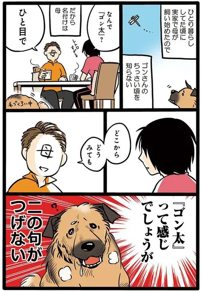 タユムさんのコミックエッセイ『雑種犬ゴンさんがダサかわいい』はレタスクラブに掲載中！（画像4/23）