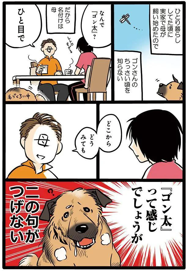 タユムさんのコミックエッセイ『雑種犬ゴンさんがダサかわいい』はレタスクラブに掲載中！（画像4/23）