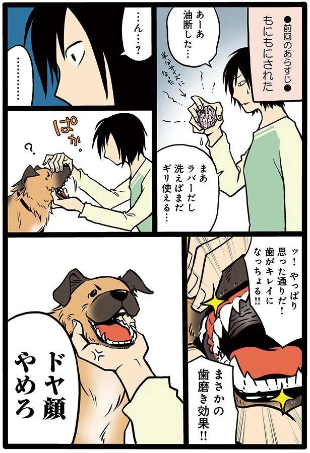 タユムさんのコミックエッセイ『雑種犬ゴンさんがダサかわいい』はレタスクラブに掲載中！（画像10/23）