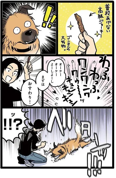 タユムさんのコミックエッセイ『雑種犬ゴンさんがダサかわいい』はレタスクラブに掲載中！（画像14/23）