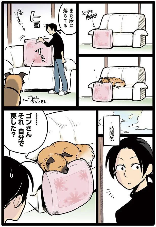 タユムさんのコミックエッセイ『雑種犬ゴンさんがダサかわいい』はレタスクラブに掲載中！（画像15/23）