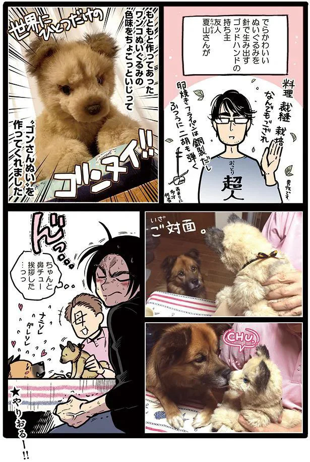 タユムさんのコミックエッセイ『雑種犬ゴンさんがダサかわいい』はレタスクラブに掲載中！（画像16/23）