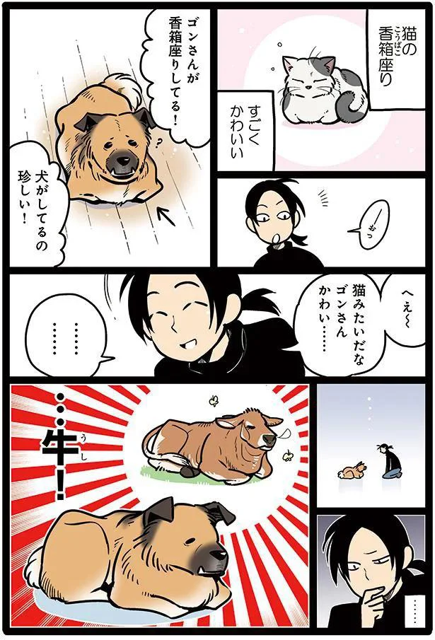 タユムさんのコミックエッセイ『雑種犬ゴンさんがダサかわいい』はレタスクラブに掲載中！（画像17/23）