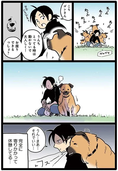 タユムさんのコミックエッセイ『雑種犬ゴンさんがダサかわいい』はレタスクラブに掲載中！（画像18/23）