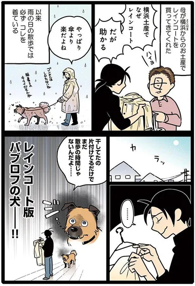 タユムさんのコミックエッセイ『雑種犬ゴンさんがダサかわいい』はレタスクラブに掲載中！（画像19/23）