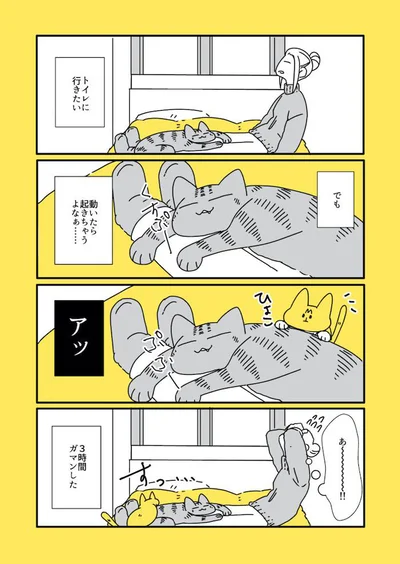 なごさんの漫画　よく寝る編／殿さんと小判ちゃんラブがあふれる画像（12/14）