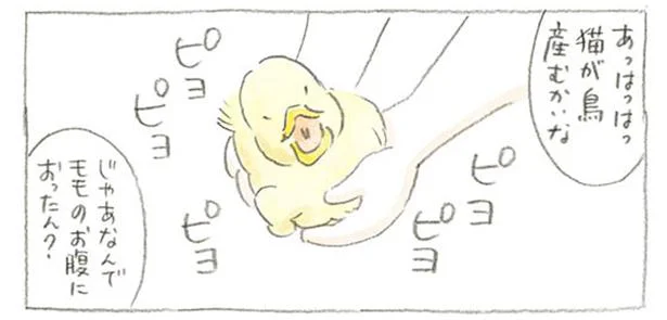 猫のお腹で寝てたのは…