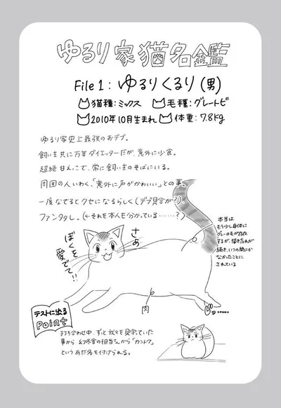 猫を4匹飼ってみたら 家の至る所で猫たちが神出鬼没 ゆるりまいにち猫日和 1 画像8 9 レタスクラブ 猫を4匹飼ってみたら 家の至る所で猫たちが神出鬼没 ゆるりまいにち猫日和 1 画像8 9 レタスクラブ