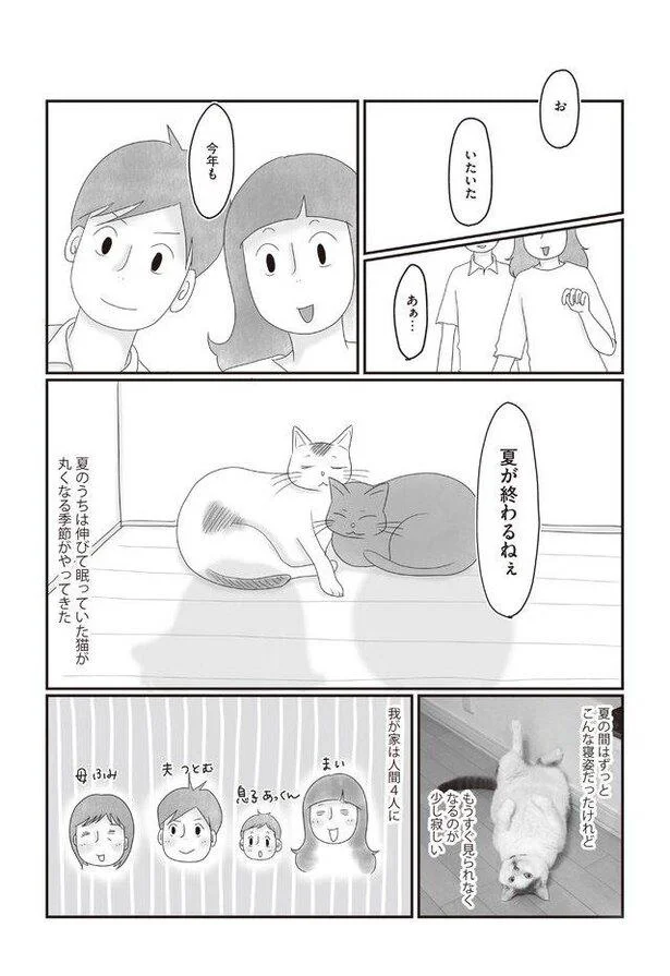 我が家は人間4人に猫4匹