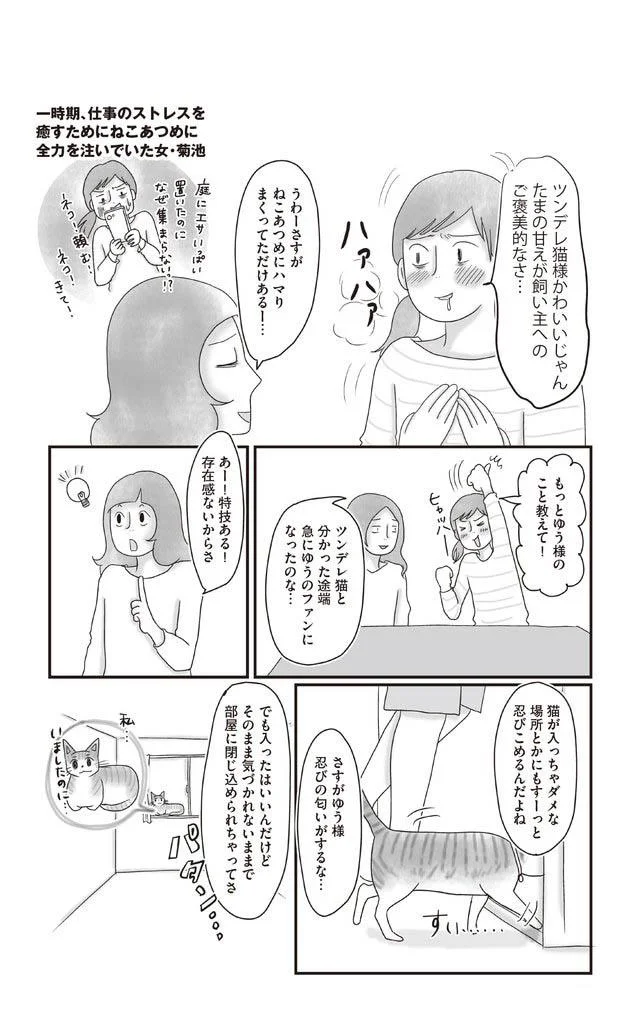 自己主張があまりない猫 ドアを開けてほしい 時の行動に飼い主も困惑 ゆるりまいにち猫日和 4 画像7 10 レタスクラブ
