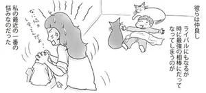 「なんじゃこりゃー！」 猫2匹と1歳児が協力した、いたずらに絶句／ゆるりまいにち猫日和（5）