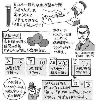 血液型はもともと「ABC」だった